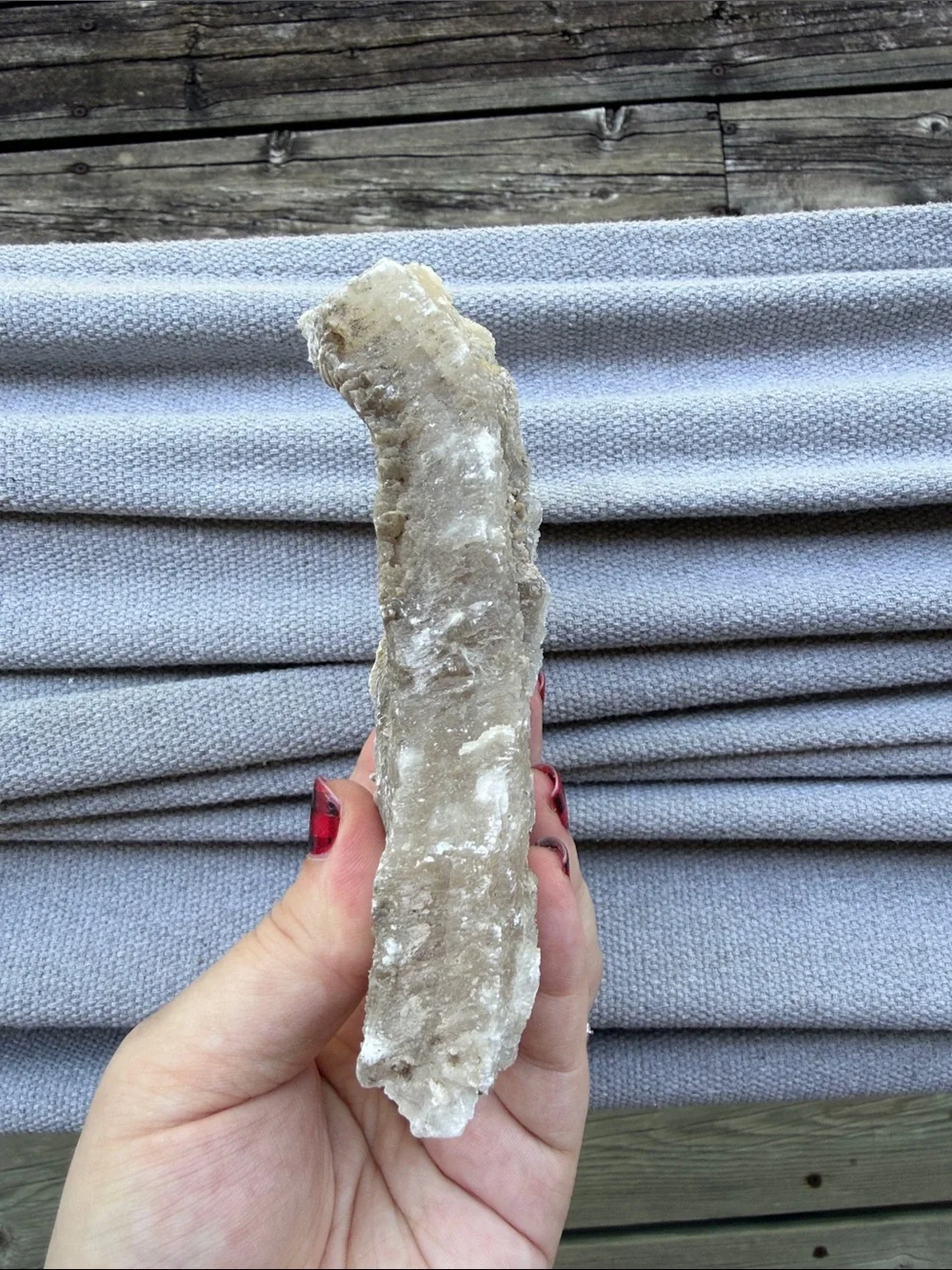 Raw •Selenite• Gypsum Crystal Mineral Specimen Natural Formation